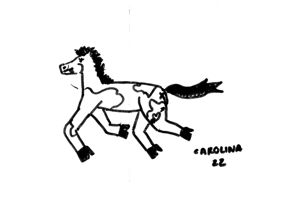 the best horse